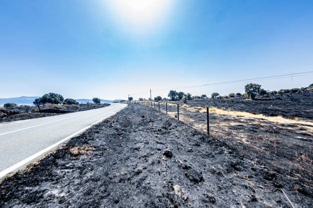 The Aftermath of the Lozoyuela Wildfire One of the areas burned by the fire, as of July 21, 2026, in Lozoyuela, Madrid, Spain. The wildfire that broke out on July 16 in the Madrid town of Lozoyuela burned 865 hectares of forest and scrubland, making it one of the most severe on record in the region. It forced the evacuation of a children’s camp and the preventive confinement of more than 2,000 residents due to the smoke. A man with a criminal record was arrested as the alleged arsonist, against whom the Community of Madrid has joined the case as a private prosecutor JULY 21, 2026 Lozoyuela, Madrid Lozoyuela, Madrid, Spain  Copyright: xRicardoxRubiox 7679140