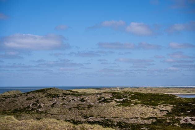 Weststrand auf Sylt 21.07.2026, List --- Die Dünenlandschaft am Weststrand des Ellenbogens auf Sylt erstreckt sich entlang der Nordseeküste. Der Ellenbogen im Norden der Insel Sylt zählt zu den markantesten Dünenlandschaften Deutschlands und steht in weiten Teilen unter Naturschutz. List Schleswig-Holstein Deutschland *** West Beach on Sylt, July 21, 2026, List The dune landscape on the West Beach of the Ellenbogen on Sylt stretches along the North Sea coast. The Ellenbogen, located in the north of the island of Sylt, is one of Germany’s most striking dune landscapes and is largely a nature reserve. List, Schleswig-Holstein, Germany