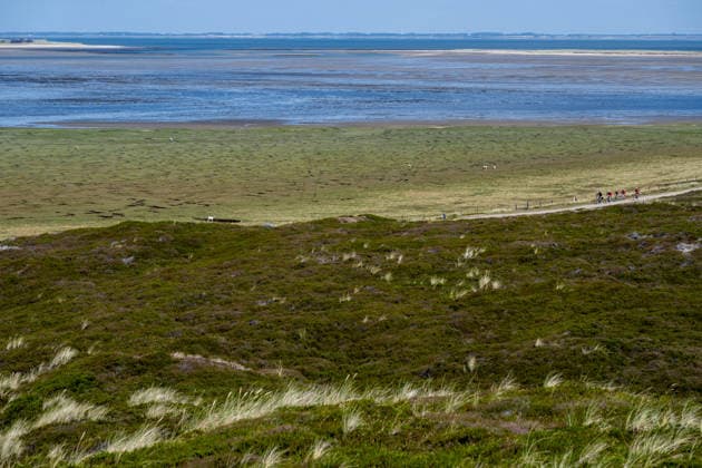 Weststrand auf Sylt 21.07.2026, List --- Der Blick fällt vom Ellenbogen auf das Wattenmeer im Norden der Insel Sylt. Der Ellenbogen im Norden der Insel Sylt zählt zu den markantesten Dünenlandschaften Deutschlands und steht in weiten Teilen unter Naturschutz. List Schleswig-Holstein Deutschland *** West Beach on Sylt, July 21, 2026, List: The view from the Ellenbogen looks out over the Wadden Sea to the north of the island of Sylt. The Ellenbogen, in the north of the island of Sylt, is one of Germany’s most striking dune landscapes and is largely a protected nature reserve. List, Schleswig-Holstein, Germany