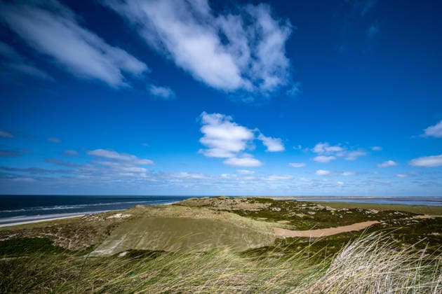 Weststrand auf Sylt 21.07.2026, List --- Dünen prägen die Landschaft am Weststrand auf Sylt. Der Ellenbogen im Norden der Insel Sylt zählt zu den markantesten Dünenlandschaften Deutschlands und steht in weiten Teilen unter Naturschutz. List Schleswig-Holstein Deutschland *** West Beach on Sylt, July 21, 2026, List: Dunes define the landscape along West Beach on Sylt. The Ellenbogen region in the north of the island of Sylt is one of Germany’s most striking dune landscapes and is largely protected as a nature reserve. List, Schleswig-Holstein, Germany