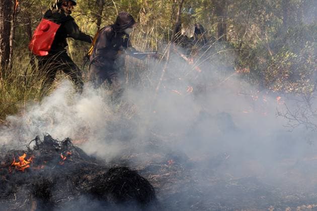 Fires in the Bouira Mountains in Algeria: Forest Service Responds To extinguish the fires in the Bouira Mountains in Algeria on July 21, 2026, According to the civil protection report, the fires are under control. Photo by Billel Bensalem, APP, Bouira, Algeria Copyright: xAPPxAlgeriexPressxPhotosxBillelxBensalemx xAPPx IMG_6405