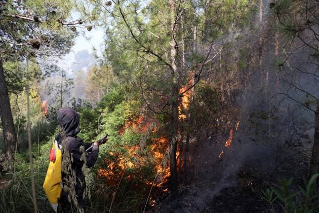 Fires in the Bouira Mountains in Algeria: Forest Service Responds To extinguish the fires in the Bouira Mountains in Algeria on July 21, 2026, According to the civil protection report, the fires are under control. Photo by Billel Bensalem, APP, Bouira, Algeria Copyright: xAPPxAlgeriexPressxPhotosxBillelxBensalemx xAPPx IMG_6406