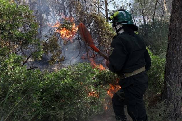 Fires in the Bouira Mountains in Algeria: Forest Service Responds To extinguish the fires in the Bouira Mountains in Algeria on July 21, 2026, According to the civil protection report, the fires are under control. Photo by Billel Bensalem, APP, Bouira, Algeria Copyright: xAPPxAlgeriexPressxPhotosxBillelxBensalemx xAPPx IMG_6419