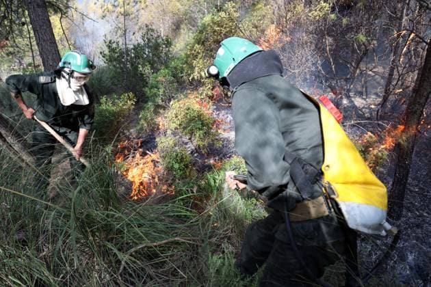 Fires in the Bouira Mountains in Algeria: Forest Service Responds To extinguish the fires in the Bouira Mountains in Algeria on July 21, 2026, According to the civil protection report, the fires are under control. Photo by Billel Bensalem, APP, Bouira, Algeria Copyright: xAPPxAlgeriexPressxPhotosxBillelxBensalemx xAPPx IMG_6433