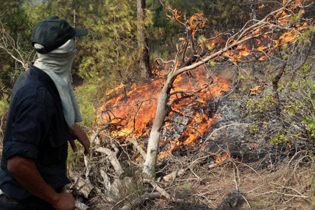 Fires in the Bouira Mountains in Algeria: Forest Service Responds To extinguish the fires in the Bouira Mountains in Algeria on July 21, 2026, According to the civil protection report, the fires are under control. Photo by Billel Bensalem, APP, Bouira, Algeria Copyright: xAPPxAlgeriexPressxPhotosxBillelxBensalemx xAPPx IMG_6441