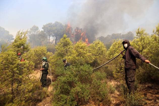 Fires in the Bouira Mountains in Algeria: Civil Defense Responds to Extinguish Fires in the Bouira Mountains in Algeria on July 21, 2026. According to the Civil Defense report, the fires are under control. Photo by Billel Bensalem, APP, Bouira, Algeria Copyright: xAPPxAlgeriexPressxPhotosxBillelxBensalemx xAPPx IMG_6484