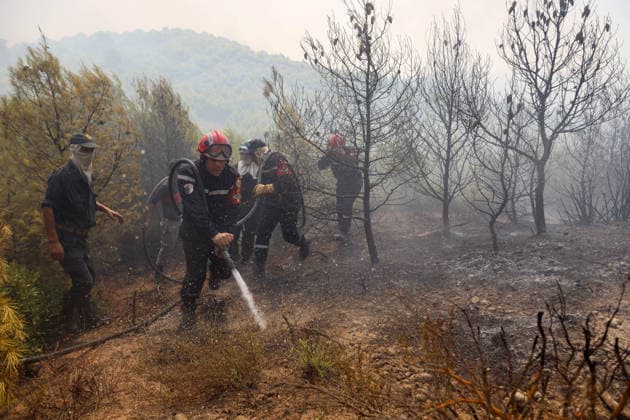 Fires in the Bouira Mountains in Algeria: Civil Defense Responds to Extinguish Fires in the Bouira Mountains in Algeria on July 21, 2026. According to the Civil Defense report, the fires are under control. Photo by Billel Bensalem, APP, Bouira, Algeria Copyright: xAPPxAlgeriexPressxPhotosxBillelxBensalemx xAPPx IMG_6517