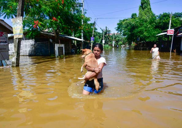 A girl carries dog while moving through floodwaters in Assam s Sivasagar Sivasagar Assam , Jul 21 (ANI): A girl carries her dog while wading through floodwaters as people move to safer places, in Sivasagar on Tuesday. Sivasagar Assam India Copyright: xANIx ANI_20260721659