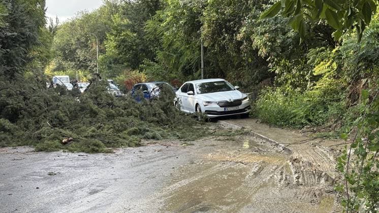 Severe summer storm causes damage across Skopje SKOPJE, NORTH MACEDONIA - JULY 21: A view of damage in the streets following a sudden, powerful storm that struck Skopje, North Macedonia, on July 21, 2026. Umeys Sulejman Anadolu Skopje North Macedonia. Editorial use only. Please get in touch for any other usage.  Copyright: x2026xAnadoluxUmeysxSulejmanx