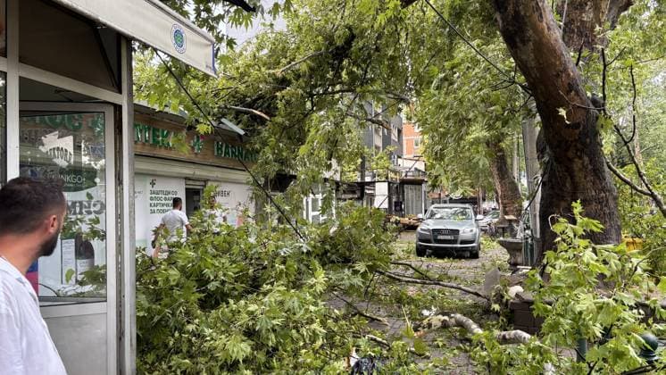 Severe summer storm causes damage across Skopje SKOPJE, NORTH MACEDONIA - JULY 21: A view of damage in the streets following a sudden, powerful storm that struck Skopje, North Macedonia, on July 21, 2026. Umeys Sulejman Anadolu Skopje North Macedonia. Editorial use only. Please get in touch for any other usage.  Copyright: x2026xAnadoluxUmeysxSulejmanx