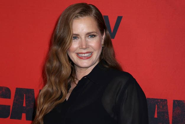 Apple TV s Cape Fear New York Finale Event Amy Adams attending Apple TV s Cape Fear New York Finale Event held at the DGA Theater on July 21, 2026 in New York City, NY New York City DGA Theater NY USA Copyright: xStevenxBergman AFF-USA.COMx