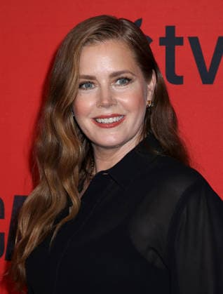 Apple TV s Cape Fear New York Finale Event Amy Adams attending Apple TV s Cape Fear New York Finale Event held at the DGA Theater on July 21, 2026 in New York City, NY New York City DGA Theater NY USA Copyright: xStevenxBergman AFF-USA.COMx