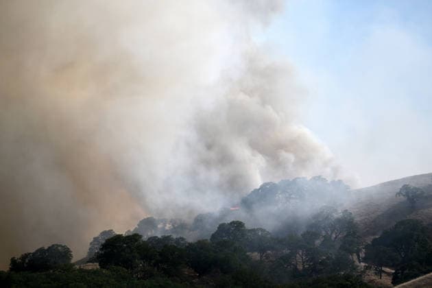 Evacuations ordered near Pleasanton during wildfire in Sunol, California ALAMEDA COUNTY, CALIFORNIA - JULY 21: A view of heavy smoke and flames as crews battle the Little Fire wildfire in a vegetation area in Sunol, Alameda County, California, United States, on July 21, 2026. Tayfun Coskun Anadolu California United States. Editorial use only. Please get in touch for any other usage.  Copyright: x2026xAnadoluxTayfunxCoskunx