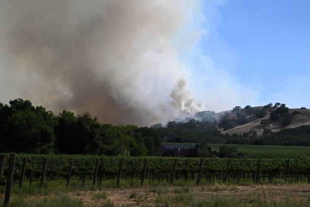 Evacuations ordered near Pleasanton during wildfire in Sunol, California ALAMEDA COUNTY, CALIFORNIA - JULY 21: A view of heavy smoke and flames as crews battle the Little Fire wildfire in a vegetation area in Sunol, Alameda County, California, United States, on July 21, 2026. Tayfun Coskun Anadolu California United States. Editorial use only. Please get in touch for any other usage.  Copyright: x2026xAnadoluxTayfunxCoskunx