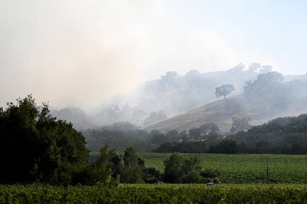 Evacuations ordered near Pleasanton during wildfire in Sunol, California ALAMEDA COUNTY, CALIFORNIA - JULY 21: A view of heavy smoke and flames as crews battle the Little Fire wildfire in a vegetation area in Sunol, Alameda County, California, United States, on July 21, 2026. Tayfun Coskun Anadolu California United States. Editorial use only. Please get in touch for any other usage.  Copyright: x2026xAnadoluxTayfunxCoskunx