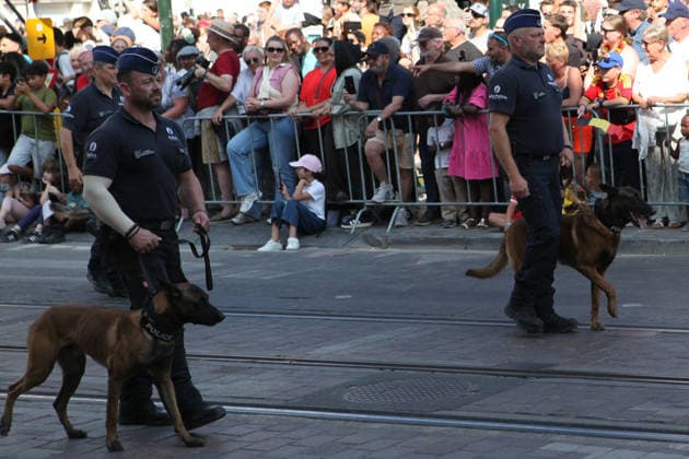 BRUSSELS, BELGIUM - JULY 21: Police officers march with police dogs during Belgium s National Day on July 21, 2026 in Brussels, Belgium. The event marks the country s national holiday with a ceremonial procession in the capital.  Copyright: xChinaxNewsxServicex 111655732335