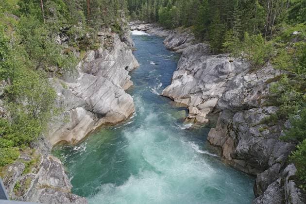 Creative Highlights World Ein türkisfarbener Fluss fließt durch eine felsige Schlucht, umgeben von grünen Wäldern, Rafting, Sjoa, Vinstra, Norwegen A turquoise river flows through a rocky gorge surrounded by green forests, rafting, Sjoa, Vinstra, Norway Copyright: imageBROKER ReinhardxPantke ibxrpa18369098.jpg