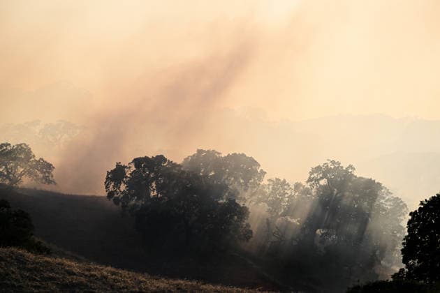 Little Fire of wildfire continues in Sunol, California SUNOL, CALIFORNIA - JULY 21: A view of smoke on vegetation area as crews battle wildfire named as Little Fire in Sunol, Alameda County, California on July 21, 2026. Tayfun Coskun Anadolu California United States. Editorial use only. Please get in touch for any other usage.  Copyright: x2026xAnadoluxTayfunxCoskunx