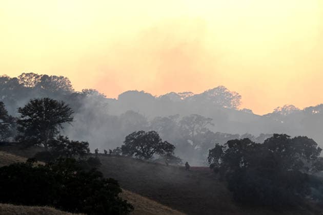 Little Fire of wildfire continues in Sunol, California SUNOL, CALIFORNIA - JULY 21: Fire crews battle wildfire named as Little Fire in Sunol, Alameda County, California on July 21, 2026. Tayfun Coskun Anadolu California United States. Editorial use only. Please get in touch for any other usage.  Copyright: x2026xAnadoluxTayfunxCoskunx