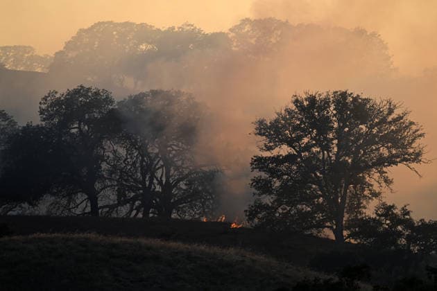 Little Fire of wildfire continues in Sunol, California SUNOL, CALIFORNIA - JULY 21: A view of smoke and flames on vegetation area as crews battle wildfire named as Little Fire in Sunol, Alameda County, California on July 21, 2026. Tayfun Coskun Anadolu California United States. Editorial use only. Please get in touch for any other usage.  Copyright: x2026xAnadoluxTayfunxCoskunx