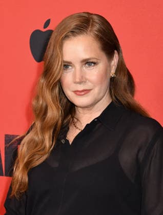 Season Finale of Cape Fear: On Edge in New York NEW YORK, NY JULY 21 Amy Adams at the Apple TV *Cape Fear* Finale Event on July 21, 2026, at the DGA Theater in New York City. Credit: Jack Fycke, AdMedia 458453, July 21, 2026, New York, New York City  Copyright: xAdMediax STAR_458453_007