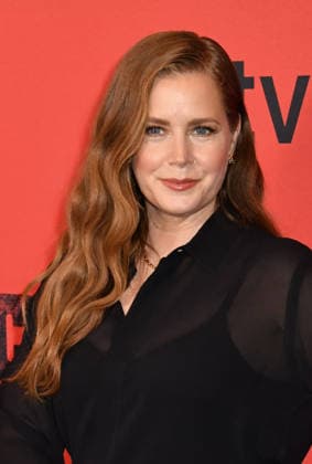 Season Finale of Cape Fear: On Edge in New York NEW YORK, NY JULY 21 Amy Adams at the Apple TV *Cape Fear* Finale Event on July 21, 2026, at the DGA Theater in New York City. Credit: Jack Fycke, AdMedia 458453, July 21, 2026, New York, New York City  Copyright: xAdMediax STAR_458453_012