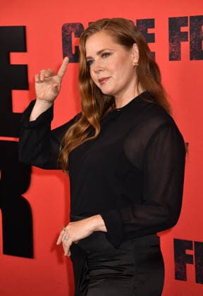Season Finale of Cape Fear: On Edge in New York NEW YORK, NY JULY 21 Amy Adams at the Apple TV *Cape Fear* Finale Event on July 21, 2026, at the DGA Theater in New York City. Credit: Jack Fycke, AdMedia 458453, July 21, 2026, New York, New York City  Copyright: xAdMediax STAR_458453_015