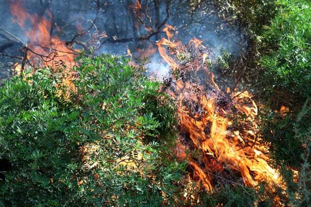 Forest Rangers Battle Wildfires In Bouira - Algeria Forest guards intervene to extinguish wildfires in the mountains of Bouira, Algeria on July 21, 2026, as the blazes are reported under control according to the civil protection agency. Photo by Billel Bensalem APP ABACAPRESS.COM Bouira Algeria  Copyright: xBensalemxBillel APP ABACAx