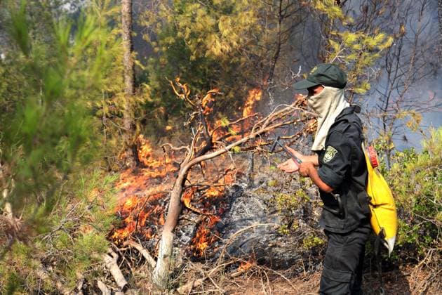 Forest Rangers Battle Wildfires In Bouira - Algeria Forest guards intervene to extinguish wildfires in the mountains of Bouira, Algeria on July 21, 2026, as the blazes are reported under control according to the civil protection agency. Photo by Billel Bensalem APP ABACAPRESS.COM Bouira Algeria  Copyright: xBensalemxBillel APP ABACAx