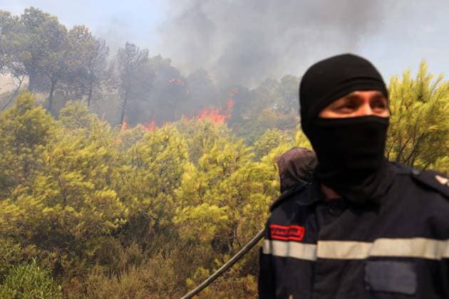 Forest Rangers Battle Wildfires In Bouira - Algeria Protection Civile firefighters intervene to extinguish wildfires in the mountains of Bouira, Algeria on July 21, 2026, as the blazes are reported under control according to the civil protection agency. Photo by Billel Bensalem APP ABACAPRESS.COM Bouira Algeria  Copyright: xBensalemxBillel APP ABACAx