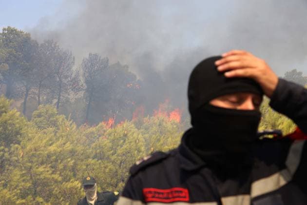 Forest Rangers Battle Wildfires In Bouira - Algeria Protection Civile firefighters intervene to extinguish wildfires in the mountains of Bouira, Algeria on July 21, 2026, as the blazes are reported under control according to the civil protection agency. Photo by Billel Bensalem APP ABACAPRESS.COM Bouira Algeria  Copyright: xBensalemxBillel APP ABACAx