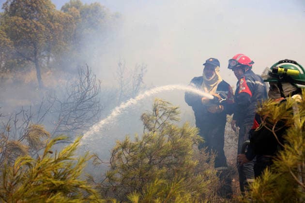 Forest Rangers Battle Wildfires In Bouira - Algeria Protection Civile firefighters intervene to extinguish wildfires in the mountains of Bouira, Algeria on July 21, 2026, as the blazes are reported under control according to the civil protection agency. Photo by Billel Bensalem APP ABACAPRESS.COM Bouira Algeria  Copyright: xBensalemxBillel APP ABACAx