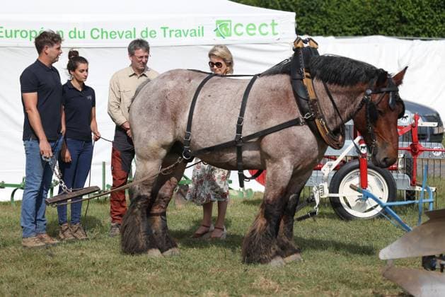 Queen Mathilde of Belgium pictured during a royal visit at the 90th edition of the Libramont Agricultural fair (24-27 07), on Wednesday 22 July 2026, in Libramont.  BRUNOxFAHY 181726971