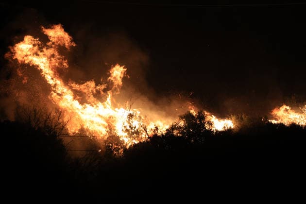 Wildfires continue in Italian island of Sicily PALERMO, ITALY - JULY 22: Wildfires that broke out in several parts of the Italian island of Sicily continue overnight, fueled by strong winds, as firefighters, civil protection teams and forestry crews press on with efforts to contain the blazes near Palermo, Sicily, Italy on July 22, 2026. The wildfires, which started yesterday on the slopes of Mount Longa near the city of Palermo, spread rapidly due to the wind and burned throughout the night. Alberto Lo Bianco Anadolu Palermo Italy. Editorial use only. Please get in touch for any other usage.  Copyright: x2026xAnadoluxAlbertoxLoxBiancox