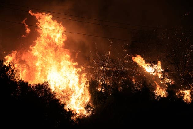 Wildfires continue in Italian island of Sicily PALERMO, ITALY - JULY 22: Wildfires that broke out in several parts of the Italian island of Sicily continue overnight, fueled by strong winds, as firefighters, civil protection teams and forestry crews press on with efforts to contain the blazes near Palermo, Sicily, Italy on July 22, 2026. The wildfires, which started yesterday on the slopes of Mount Longa near the city of Palermo, spread rapidly due to the wind and burned throughout the night. Alberto Lo Bianco Anadolu Palermo Italy. Editorial use only. Please get in touch for any other usage.  Copyright: x2026xAnadoluxAlbertoxLoxBiancox