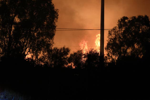 Wildfires continue in Italian island of Sicily PALERMO, ITALY - JULY 22: Wildfires that broke out in several parts of the Italian island of Sicily continue overnight, fueled by strong winds, as firefighters, civil protection teams and forestry crews press on with efforts to contain the blazes near Palermo, Sicily, Italy on July 22, 2026. The wildfires, which started yesterday on the slopes of Mount Longa near the city of Palermo, spread rapidly due to the wind and burned throughout the night. Alberto Lo Bianco Anadolu Palermo Italy. Editorial use only. Please get in touch for any other usage.  Copyright: x2026xAnadoluxAlbertoxLoxBiancox