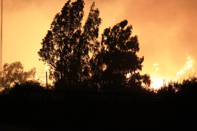 Wildfires continue in Italian island of Sicily PALERMO, ITALY - JULY 22: Wildfires that broke out in several parts of the Italian island of Sicily continue overnight, fueled by strong winds, as firefighters, civil protection teams and forestry crews press on with efforts to contain the blazes near Palermo, Sicily, Italy on July 22, 2026. The wildfires, which started yesterday on the slopes of Mount Longa near the city of Palermo, spread rapidly due to the wind and burned throughout the night. Alberto Lo Bianco Anadolu Palermo Italy. Editorial use only. Please get in touch for any other usage.  Copyright: x2026xAnadoluxAlbertoxLoxBiancox