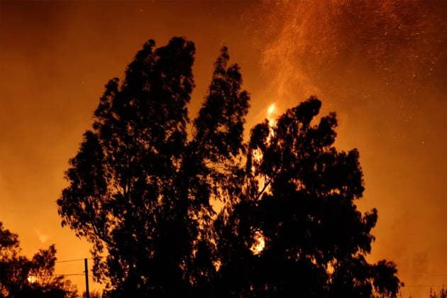 Wildfires continue in Italian island of Sicily PALERMO, ITALY - JULY 22: Wildfires that broke out in several parts of the Italian island of Sicily continue overnight, fueled by strong winds, as firefighters, civil protection teams and forestry crews press on with efforts to contain the blazes near Palermo, Sicily, Italy on July 22, 2026. The wildfires, which started yesterday on the slopes of Mount Longa near the city of Palermo, spread rapidly due to the wind and burned throughout the night. Alberto Lo Bianco Anadolu Palermo Italy. Editorial use only. Please get in touch for any other usage.  Copyright: x2026xAnadoluxAlbertoxLoxBiancox