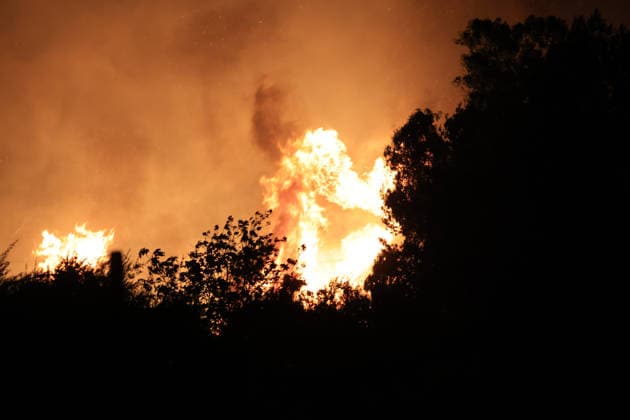 Wildfires continue in Italian island of Sicily PALERMO, ITALY - JULY 22: Wildfires that broke out in several parts of the Italian island of Sicily continue overnight, fueled by strong winds, as firefighters, civil protection teams and forestry crews press on with efforts to contain the blazes near Palermo, Sicily, Italy on July 22, 2026. The wildfires, which started yesterday on the slopes of Mount Longa near the city of Palermo, spread rapidly due to the wind and burned throughout the night. Alberto Lo Bianco Anadolu Palermo Italy. Editorial use only. Please get in touch for any other usage.  Copyright: x2026xAnadoluxAlbertoxLoxBiancox