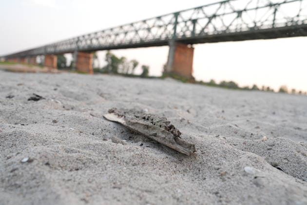 IPA86888819 - Mezzanino, Pavia, Ponte della Becca, July 22, 2026: The Po River has run dry; there is a water emergency and drought affecting Italy’s rivers. The Po River is 3 meters below its normal level, with vast stretches of sand; climate change and global warming  Copyright: xDuilioxPiaggesix xDuilioxPiaggesix 86888819