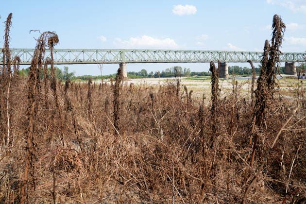 IPA86888877 - Mezzanino, Pavia, Ponte della Becca, July 22, 2026: The Po River has run dry; there is a water emergency and drought affecting Italy’s rivers. The Po River is 3 meters below its normal level, with vast stretches of sand; climate change and global warming  Copyright: xDuilioxPiaggesix xDuilioxPiaggesix 86888877
