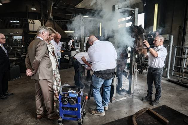 King Philippe - Filip of Belgium and Queen Mathilde of Belgium pictured during a royal visit at the 90th edition of the Libramont Agricultural fair (24-27 07), on Wednesday 22 July 2026, in Libramont.  BRUNOxFAHY 181736081
