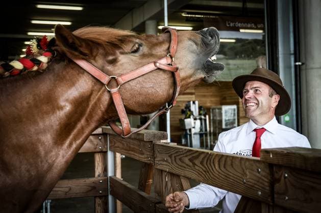 Picture taken before the 90th edition of the Libramont Agricultural fair (24-27 07), on Wednesday 22 July 2026, in Libramont.  BRUNOxFAHY 181736371