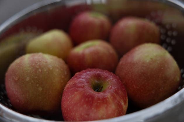 Fresh Red Apples Being Washed in a White Farmhouse Sink Canby, Oregon, United States R_IXTB2607150F-2078298-01 ,model released, Symbolfoto ,property released
