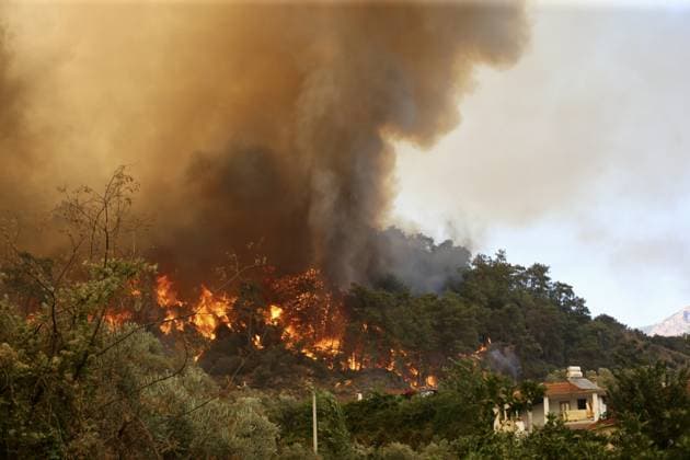 Forest Fire Breaks Out in Fethiye MUGLA, TURKIYE - JULY 22: Firefighting crews work to contain a forest fire in the Fethiye district of Mugla, Turkiye, on July 22, 2026. Ali Riza Akkir Anadolu Mugla Turkey. Editorial use only. Please get in touch for any other usage.  Copyright: x2026xAnadoluxAlixRizaxAkkirx