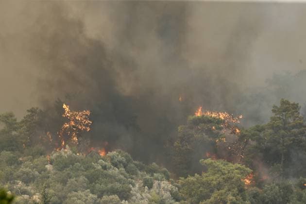 Forest Fire Breaks Out in Fethiye MUGLA, TURKIYE - JULY 22: Firefighting crews work to contain a forest fire in the Fethiye district of Mugla, Turkiye, on July 22, 2026. Ali Riza Akkir Anadolu Mugla Turkey. Editorial use only. Please get in touch for any other usage.  Copyright: x2026xAnadoluxAlixRizaxAkkirx