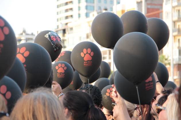 Silent march in Izmir calls attention to stray animal welfare IZMIR, TURKEY JULY 22, 2026: Participants dressed in black walk silently from Pasaport Ferry Terminal to Alsancak Ferry Terminal during an awareness march organized by volunteers to highlight the welfare and rights of stray animals. Carrying black balloons bearing the words One Life Lost, demonstrators complete the march without chanting slogans before delivering a brief press statement at the end of the route. Ä°zmir Türkiye Copyright: x xNagihanxCakirx xJNAxPressx