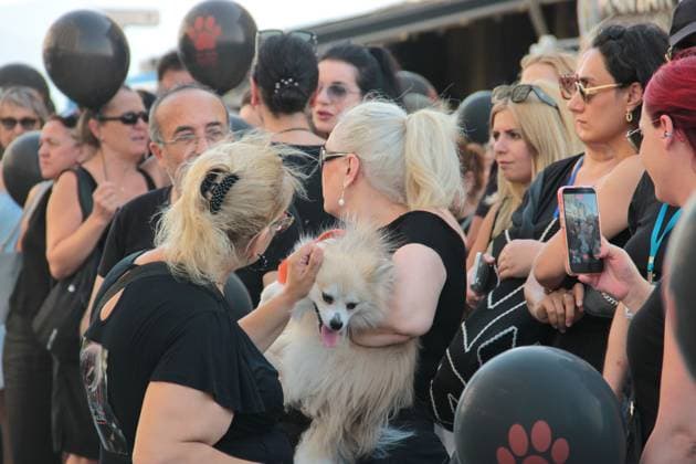 July 22, 2026, Â°Zmir, ToÂ¼rkiye: IZMIR, TURKEY Ã¢â‚¬ JULY 22, 2026: Participants dressed in black walk silently from Pasaport Ferry Terminal to Alsancak Ferry Terminal during an awareness march organized by volunteers to highlight the welfare and rights of stray animals. Carrying black balloons bearing the words One Life Lost, demonstrators complete the march without chanting slogans before delivering a brief press statement at the end of the route. Â°Zmir Türkiye - ZUMAq101 20260722_zna_q101_212 Copyright: xNagihanxCakirx