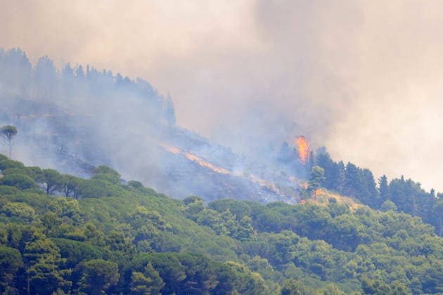 Wildfire firefighting efforts continue on Sicily island PALERMO, ITALY - JULY 22: Wildfires continue to burn in several parts of Sicily as firefighting efforts remain underway in Palermo, Sicily, Italy on July 22, 2026. Aircraft and helicopters are being used to battle a wildfire in the Casaboli forest, located in the mountainous area between the towns of Monreale and Pioppo near Palermo. Alberto Lo Bianco Anadolu Palermo Italy. Editorial use only. Please get in touch for any other usage.  Copyright: x2026xAnadoluxAlbertoxLoxBiancox