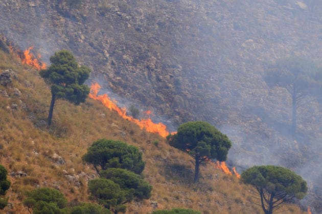Wildfire firefighting efforts continue on Sicily island PALERMO, ITALY - JULY 22: Wildfires continue to burn in several parts of Sicily as firefighting efforts remain underway in Palermo, Sicily, Italy on July 22, 2026. Aircraft and helicopters are being used to battle a wildfire in the Casaboli forest, located in the mountainous area between the towns of Monreale and Pioppo near Palermo. Alberto Lo Bianco Anadolu Palermo Italy. Editorial use only. Please get in touch for any other usage.  Copyright: x2026xAnadoluxAlbertoxLoxBiancox